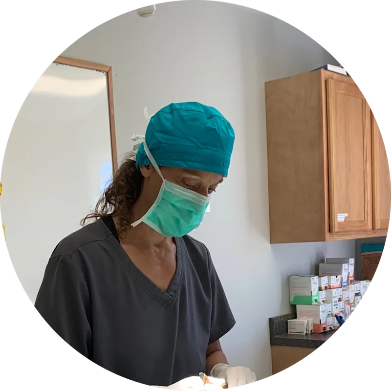 Laurie Pryputniewicz at Waterville Veterinary Clinic Laurie Pryputniewicz at Waterville Veterinary Clinic