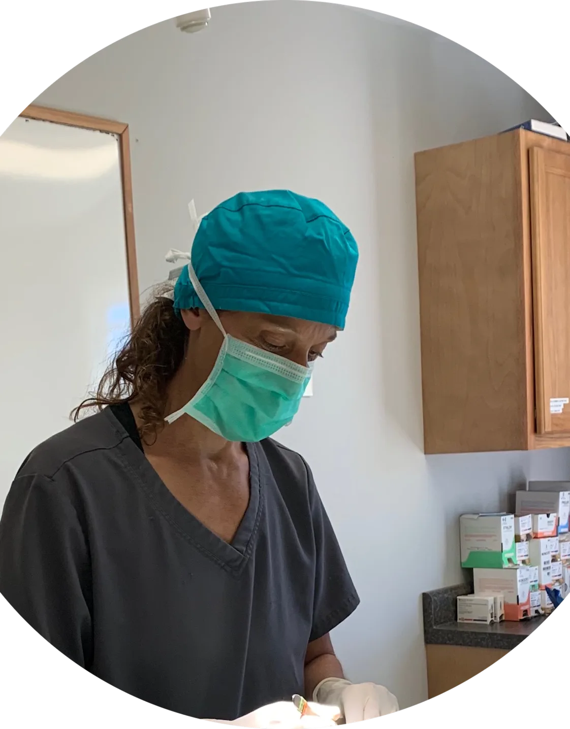 Laurie Pryputniewicz at Waterville Veterinary Clinic Laurie Pryputniewicz at Waterville Veterinary Clinic