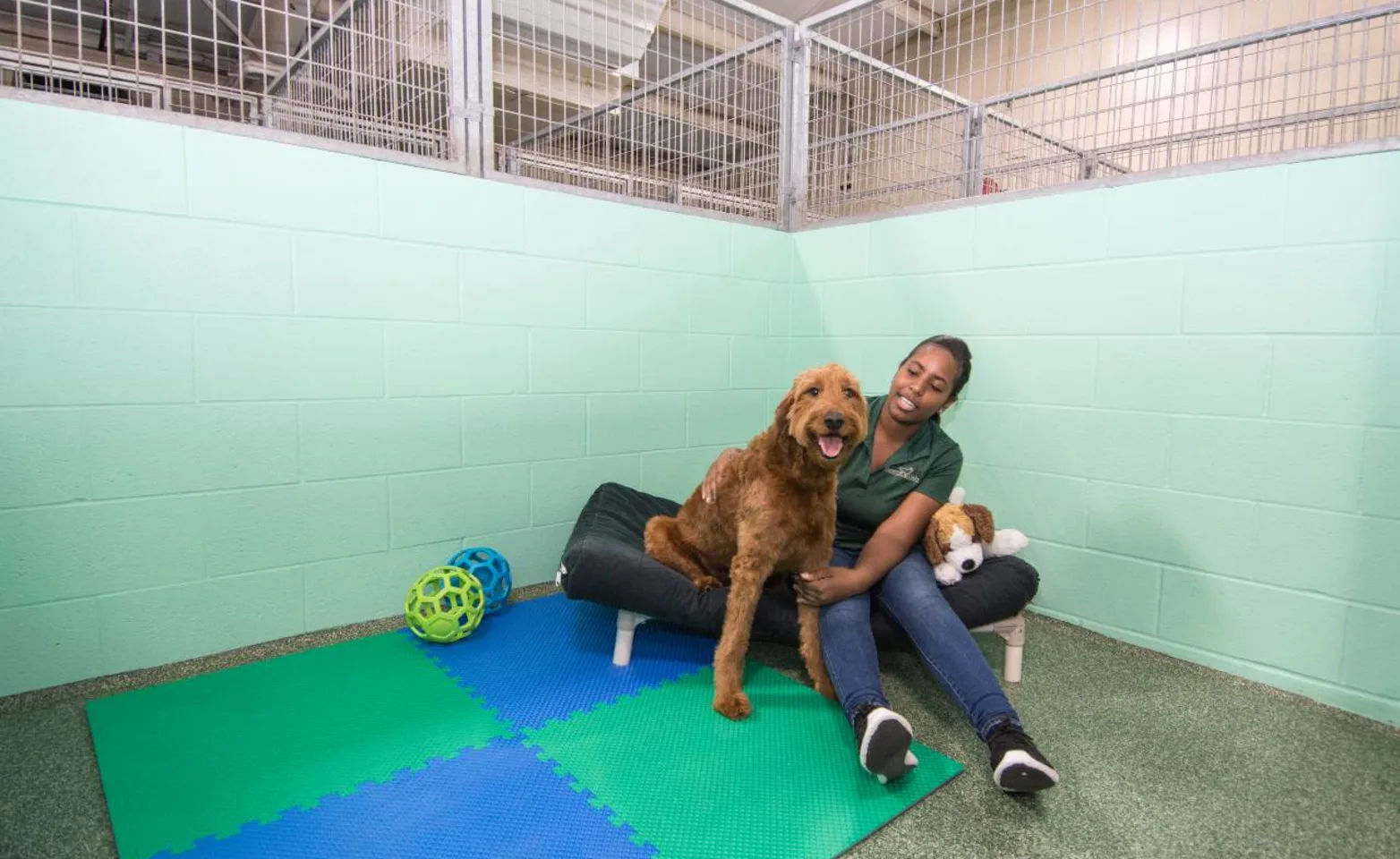 Boarding Bunkhouse at Rover Oaks Pet Resort. Boarding Bunkhouse at Rover Oaks Pet Resort.