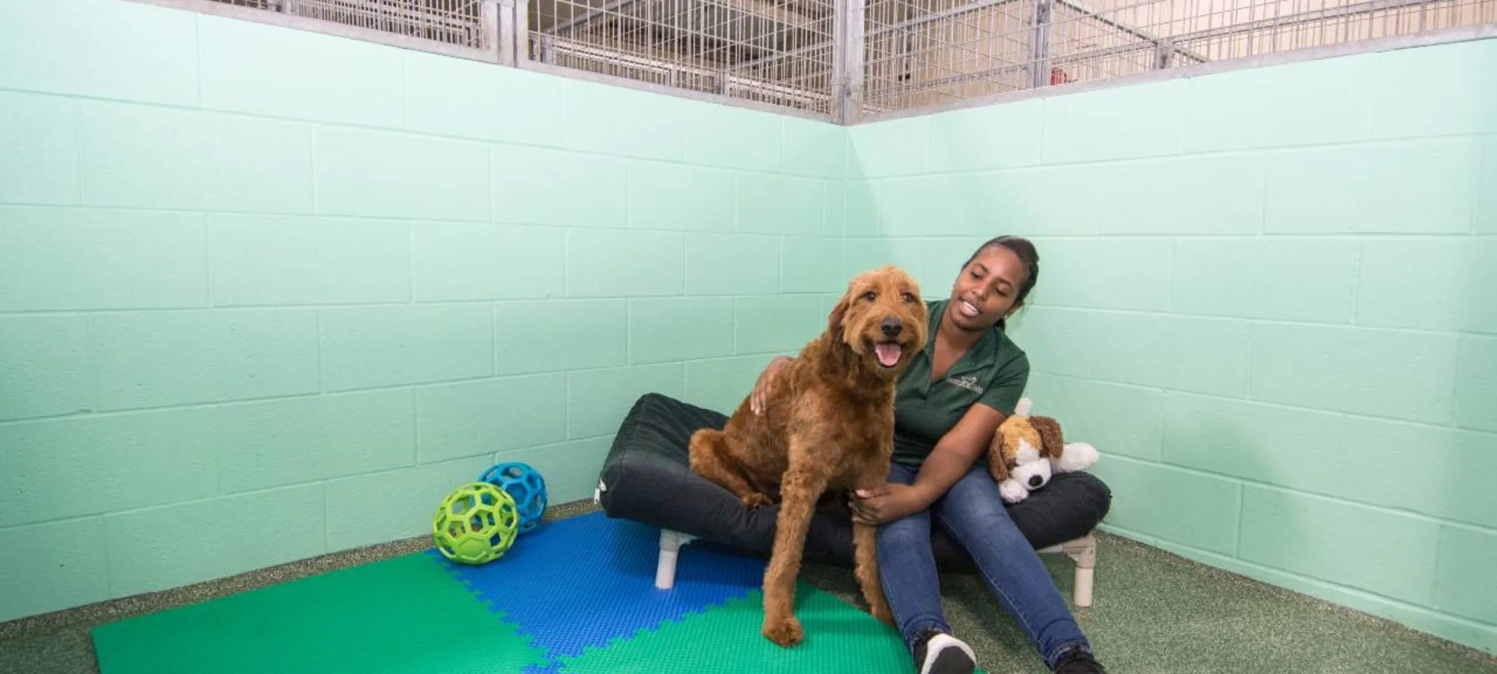 Boarding Bunkhouse at Rover Oaks Pet Resort. Boarding Bunkhouse at Rover Oaks Pet Resort.