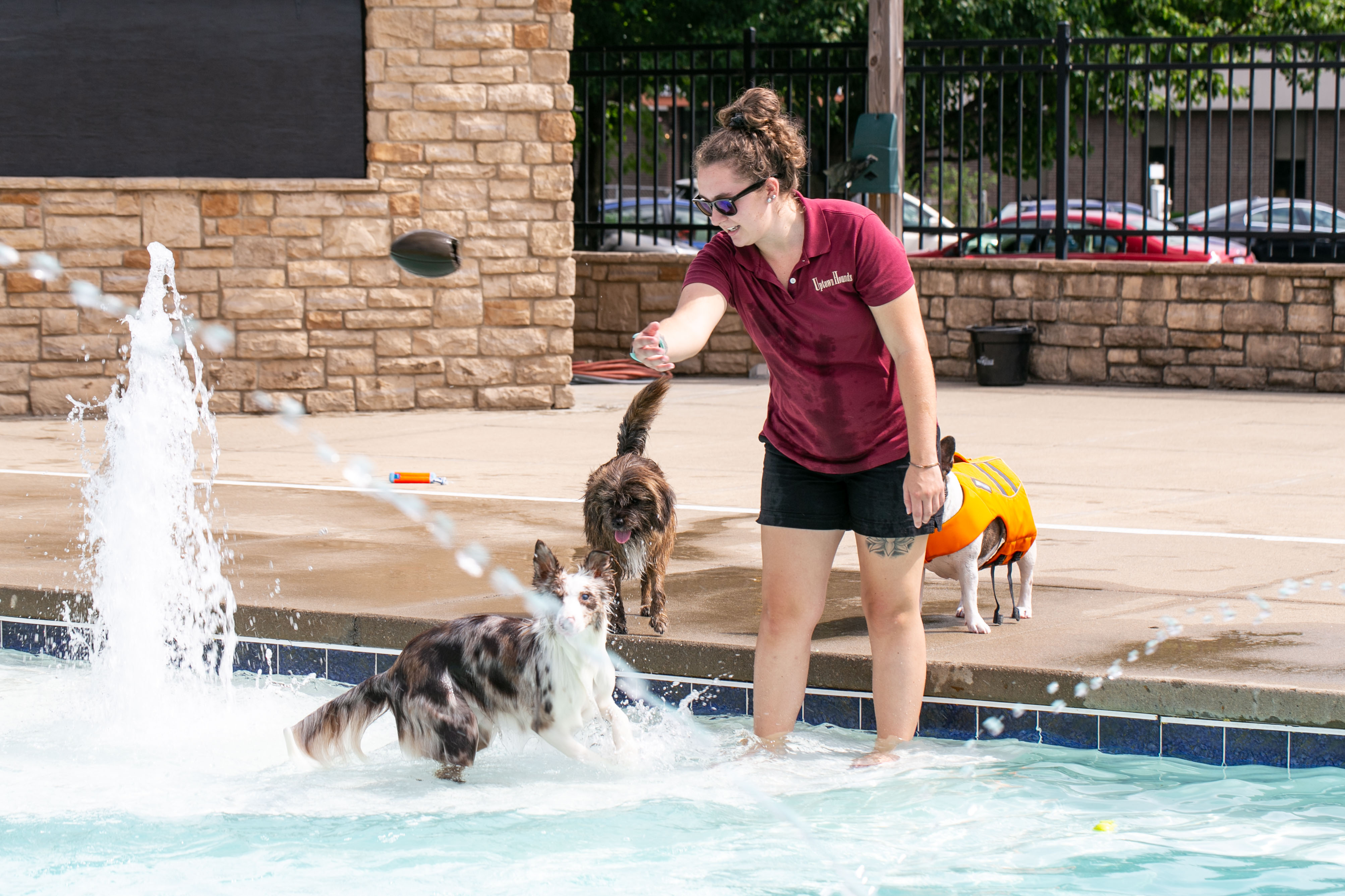Uptown Hounds Pool Yard. A shot of a female staff member playing catch with the dogs in the pool. 