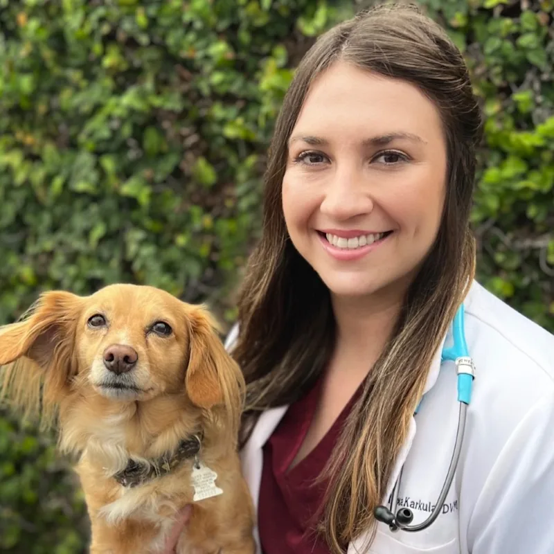 Dr. Alexa Karkula Dr. Alexa Karkula