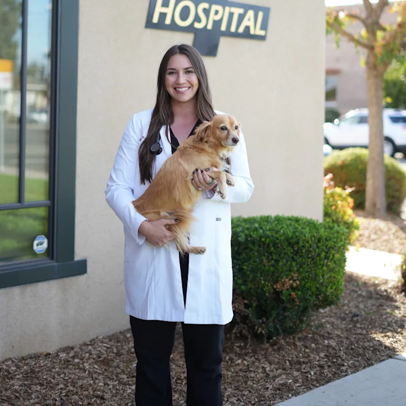 Dr. Alexa Karkula Dr. Alexa Karkula