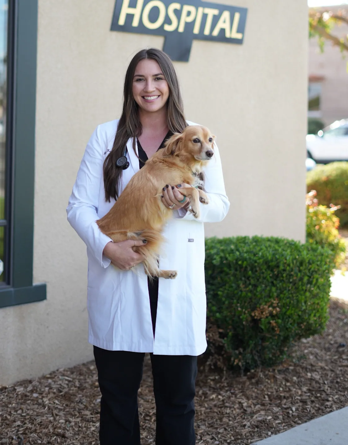 Dr. Alexa Karkula Dr. Alexa Karkula