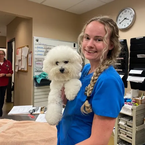 Blonde woman with side braid in blue scrubs holding a fluffy white dog.