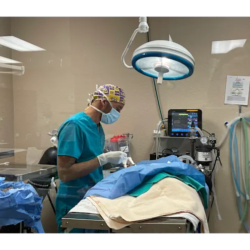 Veterinarian Doing Surgery Veterinarian Doing Surgery