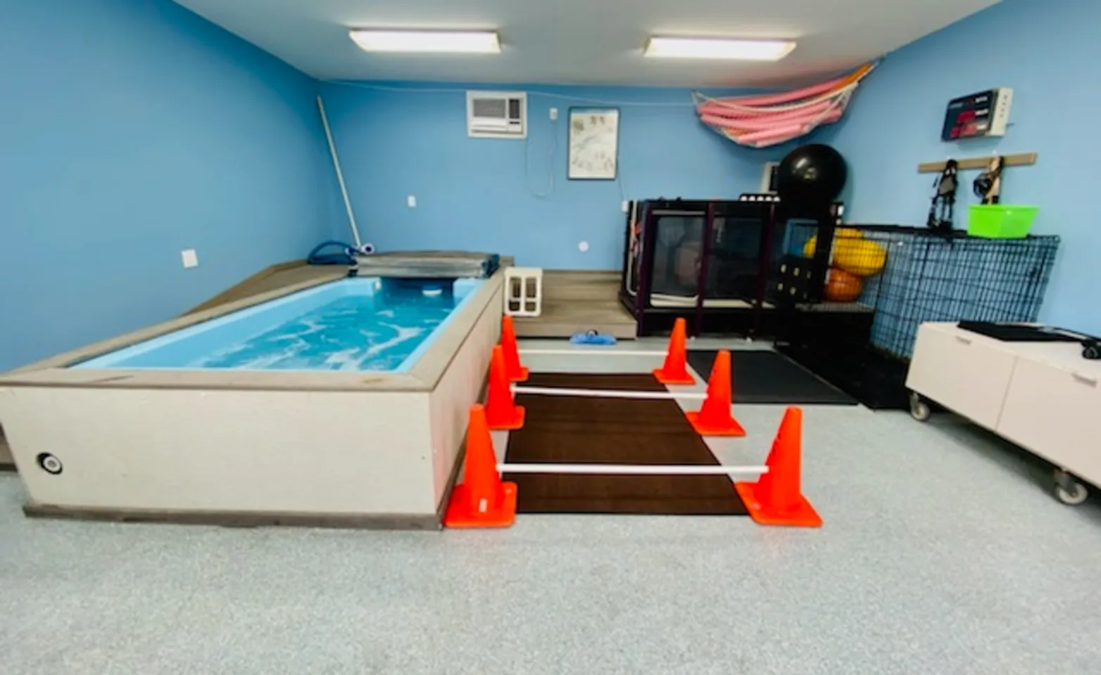 Hydrotherapy Station with pool Hydrotherapy Station with pool