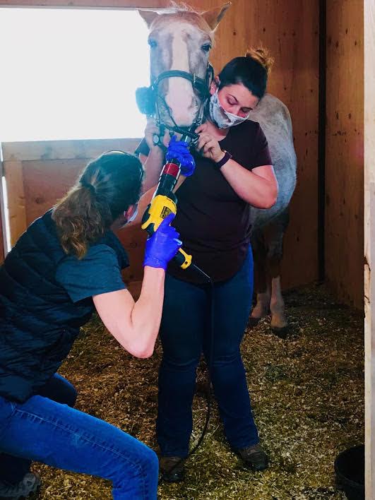 Veterinarian and vet technician performing dental procedure on a horse
