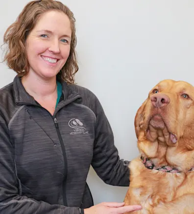 Sarah Anderson Sarah Anderson