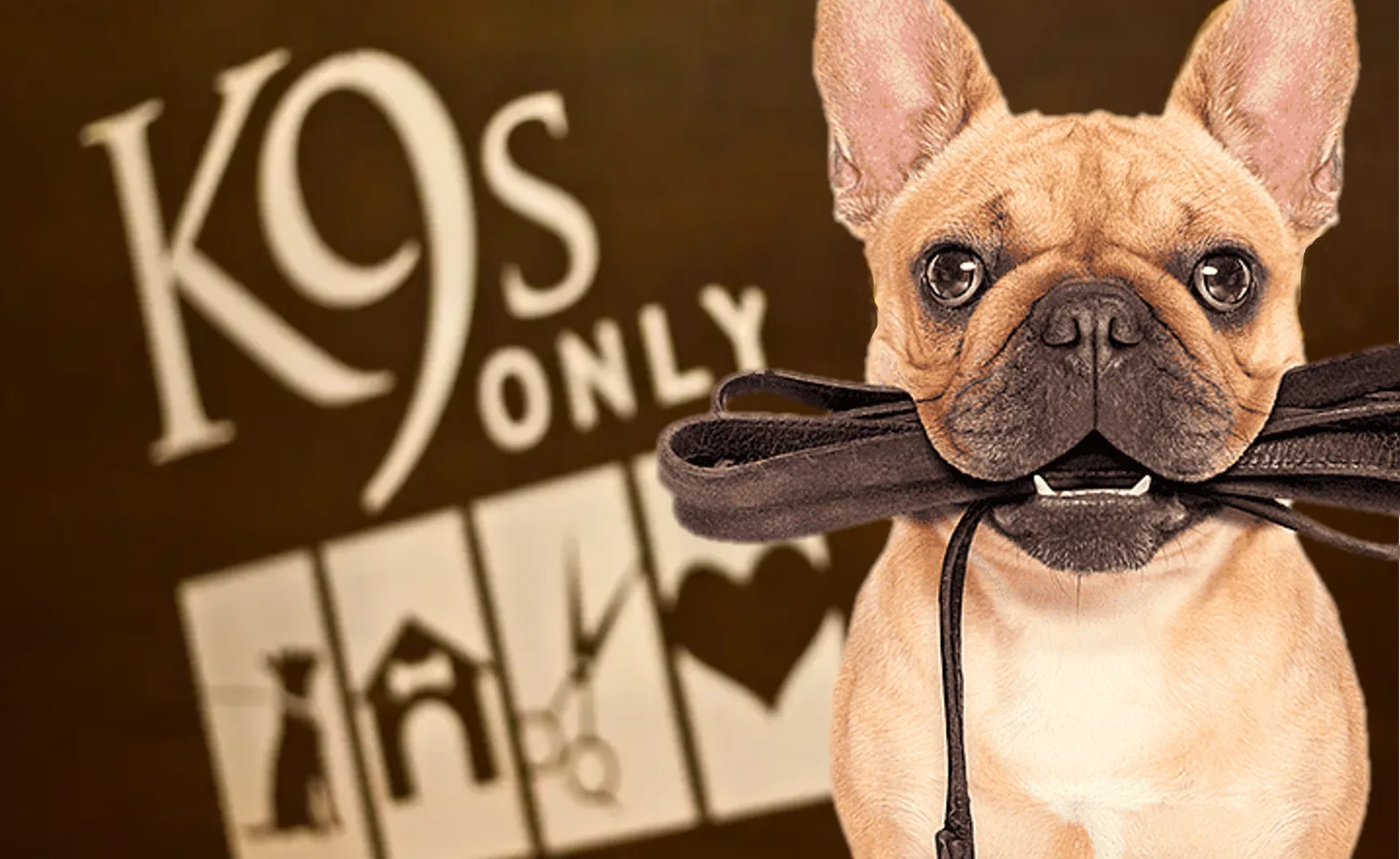 K9s Only Dog with Sign K9s Only Dog with Sign