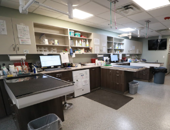 Treatment Area at Deerfield Animal Care Center