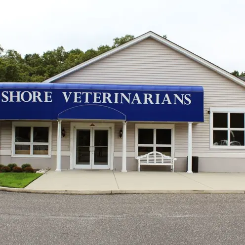 Shore Veterinarians building exterior.