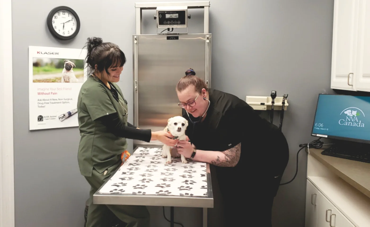 Two South Saskatchewan Animal Hospital employees assisting a small dog Two South Saskatchewan Animal Hospital employees assisting a small dog