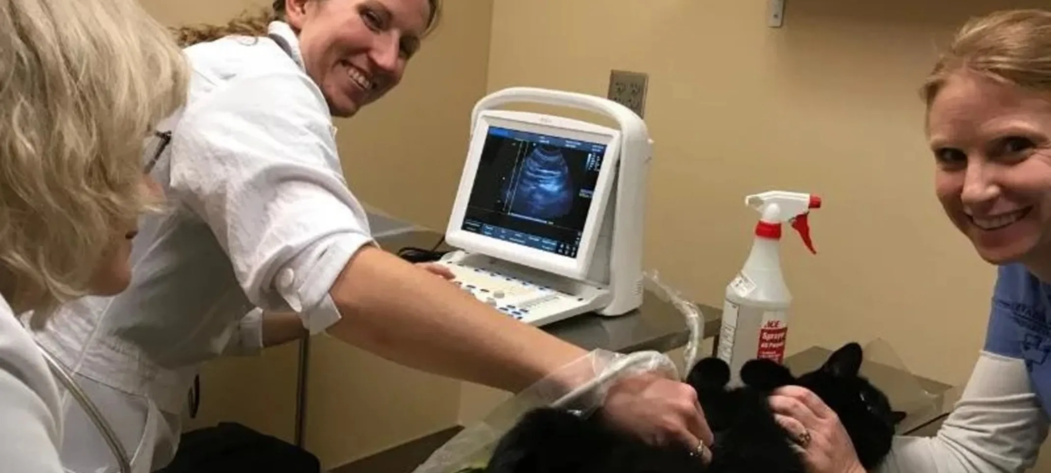 Arvada Flats Veterinary Hospital Diagnostic Imaging Arvada Flats Veterinary Hospital Diagnostic Imaging