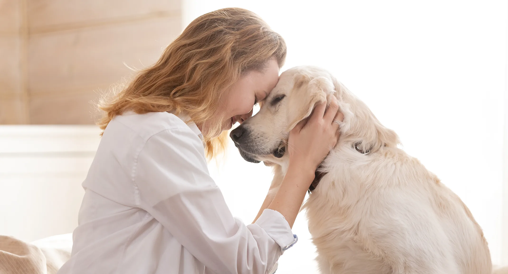 Owner cuddling her dog Owner cuddling her dog