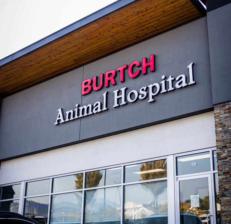 Outside view of Burtch Animal Hospital
