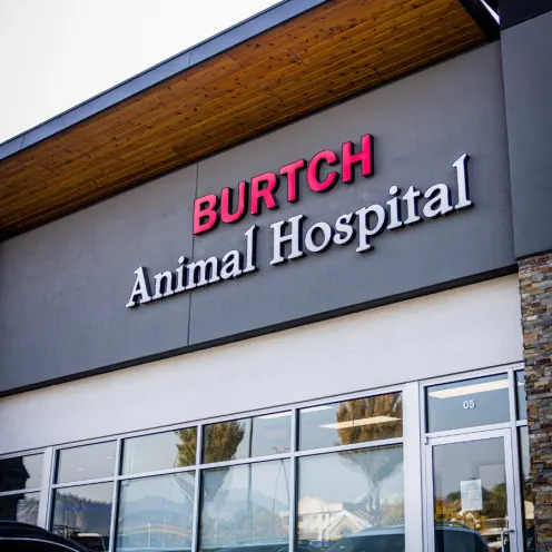 Outside view of Burtch Animal Hospital