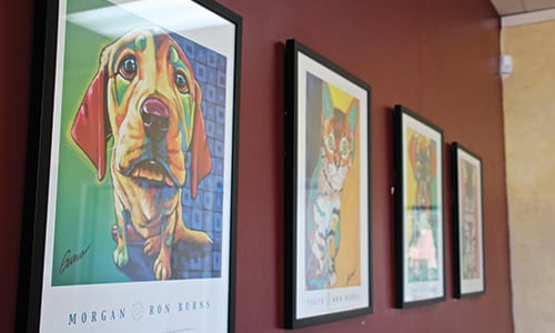 A wall of portraits depicting illustrations of pets 