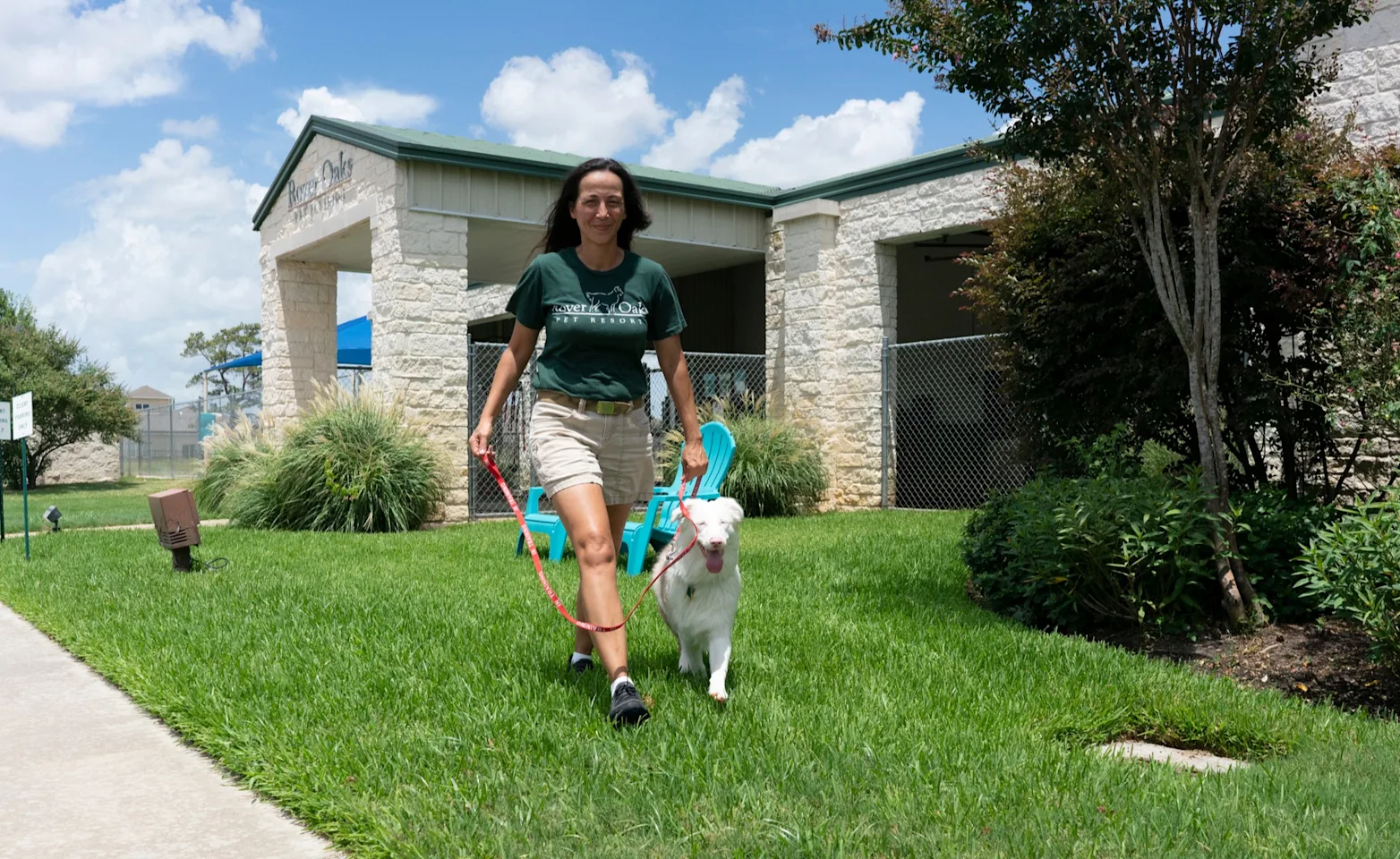 Staff walking dog at Rover Oaks Pet Resort Staff walking dog at Rover Oaks Pet Resort