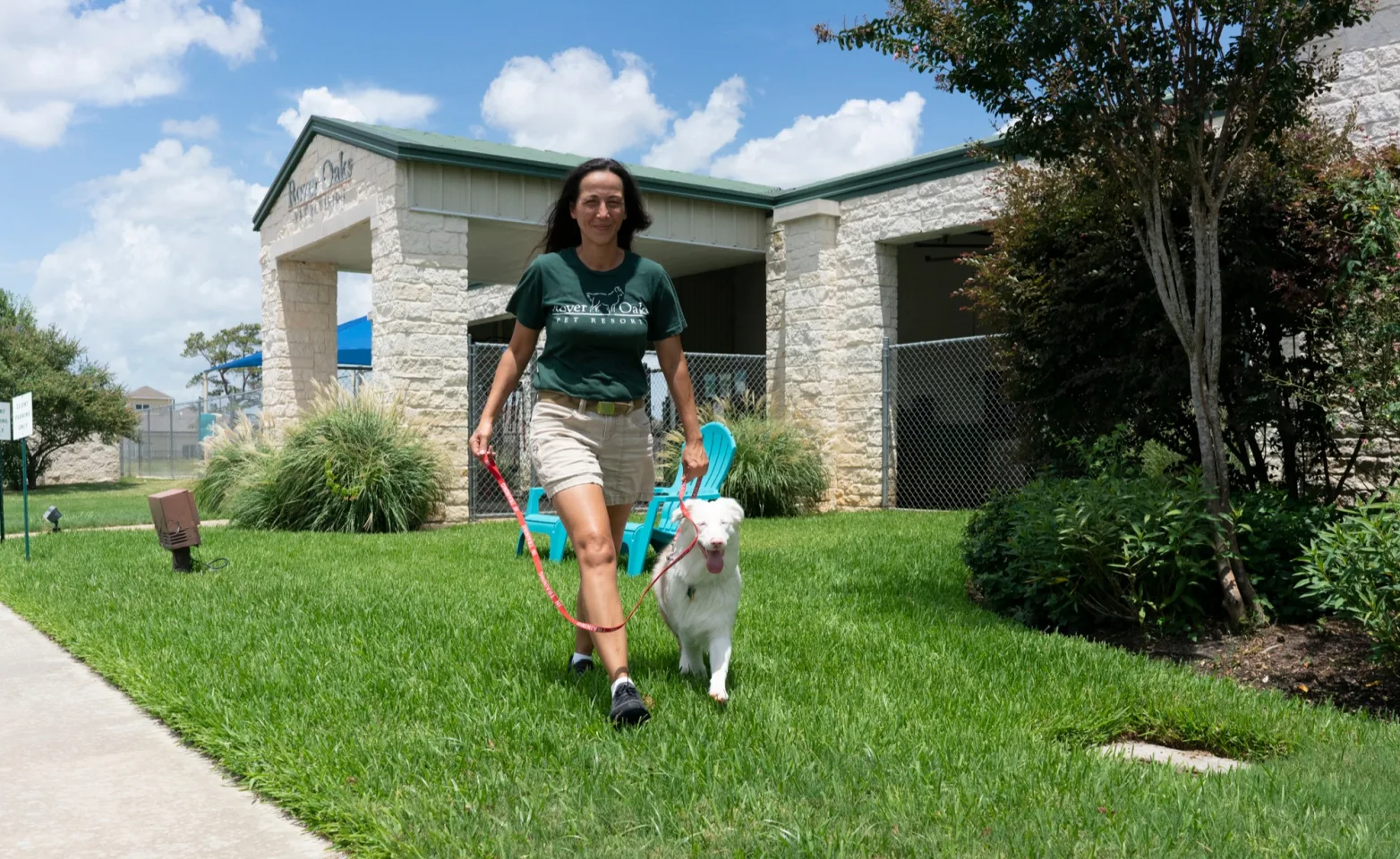 Staff walking dog at Rover Oaks Pet Resort