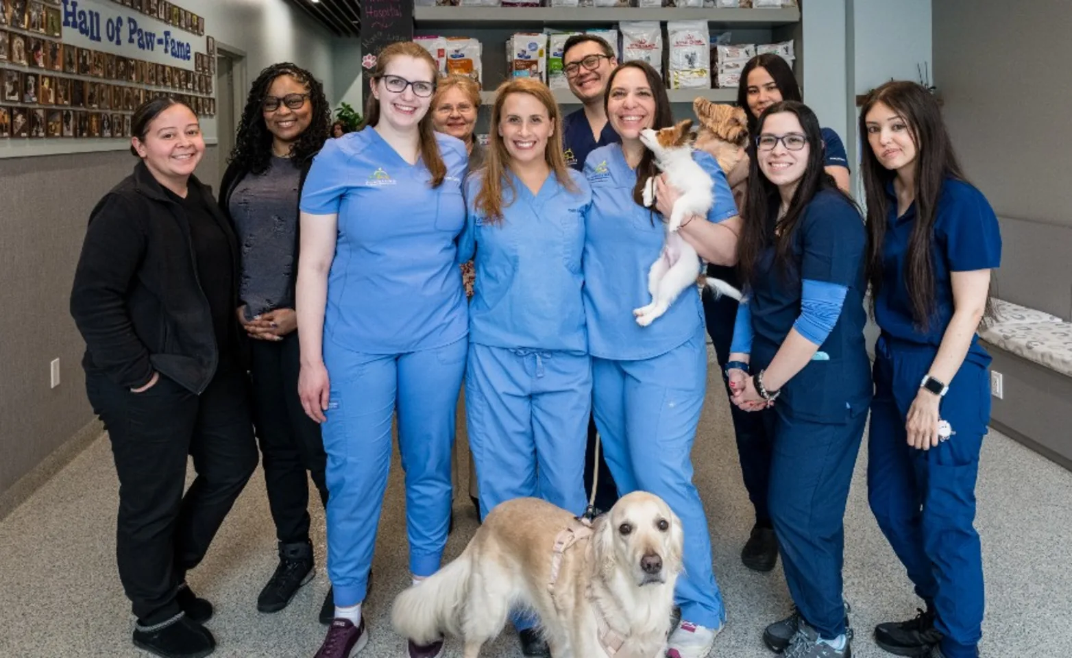 Our Team at Tribeca Soho Animal Hospital Our Team at Tribeca Soho Animal Hospital