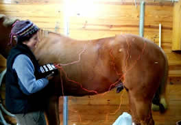 Dr. Cimetti using acupuncture on “Ben” for chronic back pain