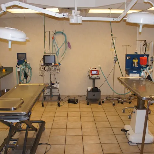 Surgery Suite Surgery Suite