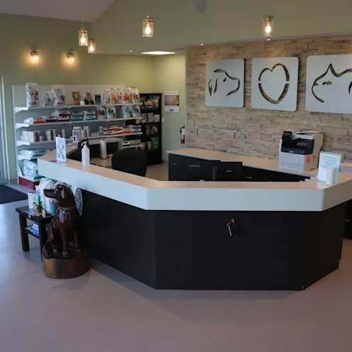 Reception Desk Reception Desk