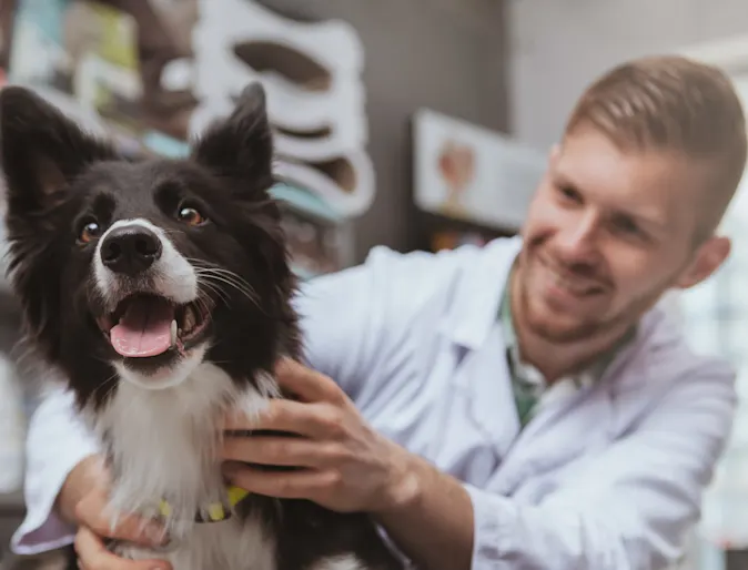 Dog on Vet table with Vet