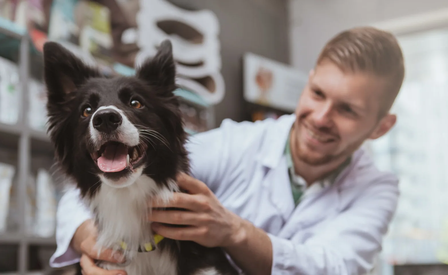 Dog on Vet table with Vet Dog on Vet table with Vet