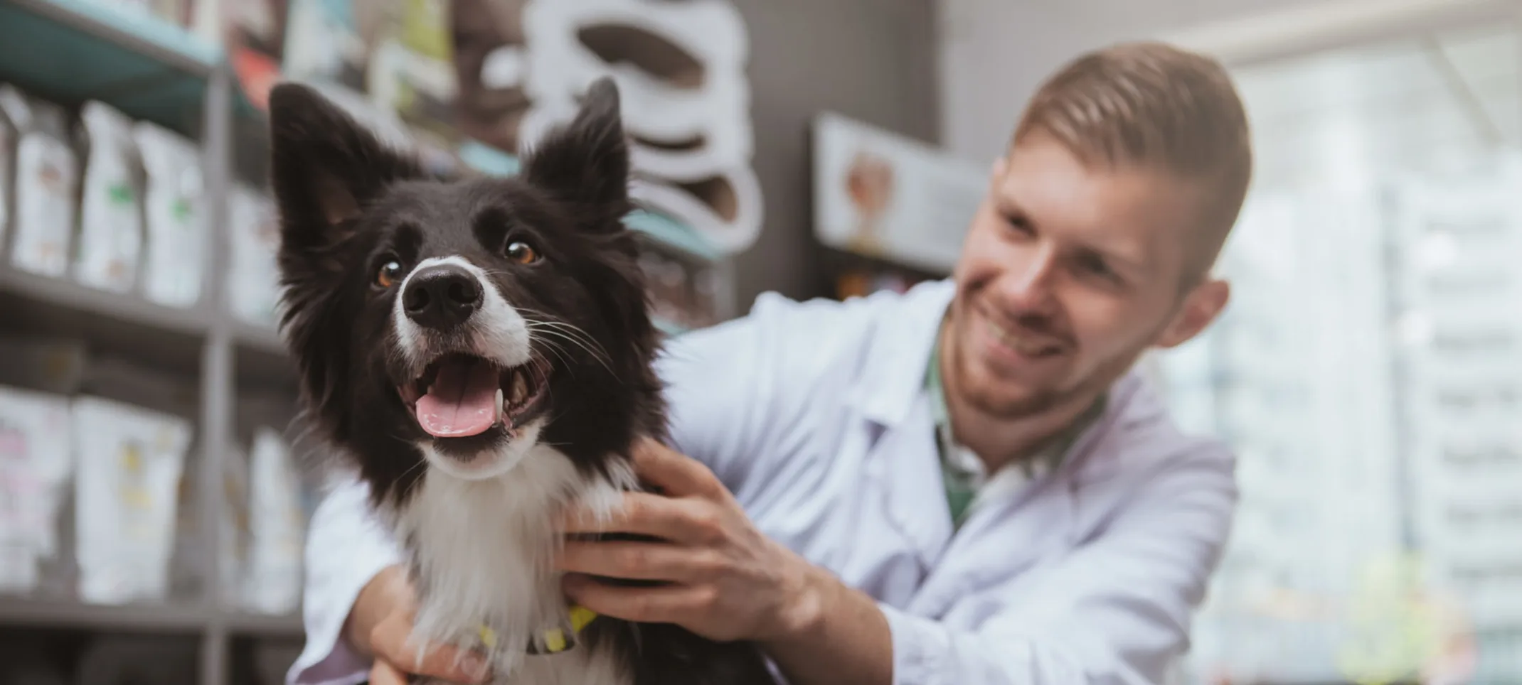 Dog on Vet table with Vet