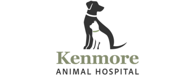 Kenmore Animal Hospital Logo Kenmore Animal Hospital Logo