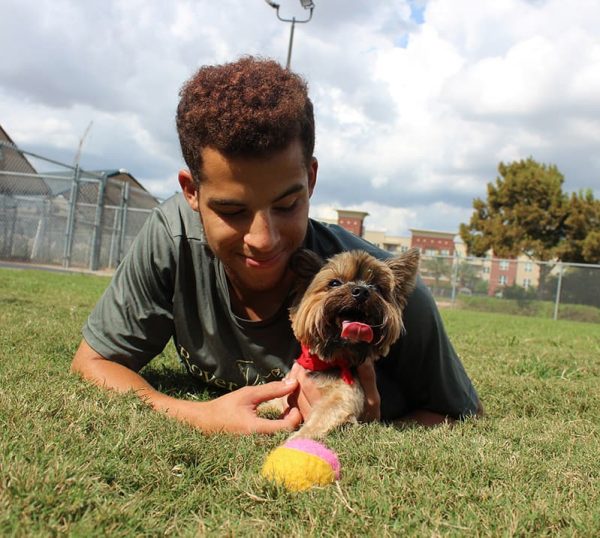 Staff member playing with small brown dog and ball in the grass.