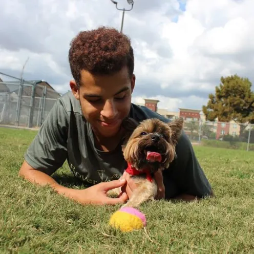 Staff member playing with small brown dog and ball in the grass.
