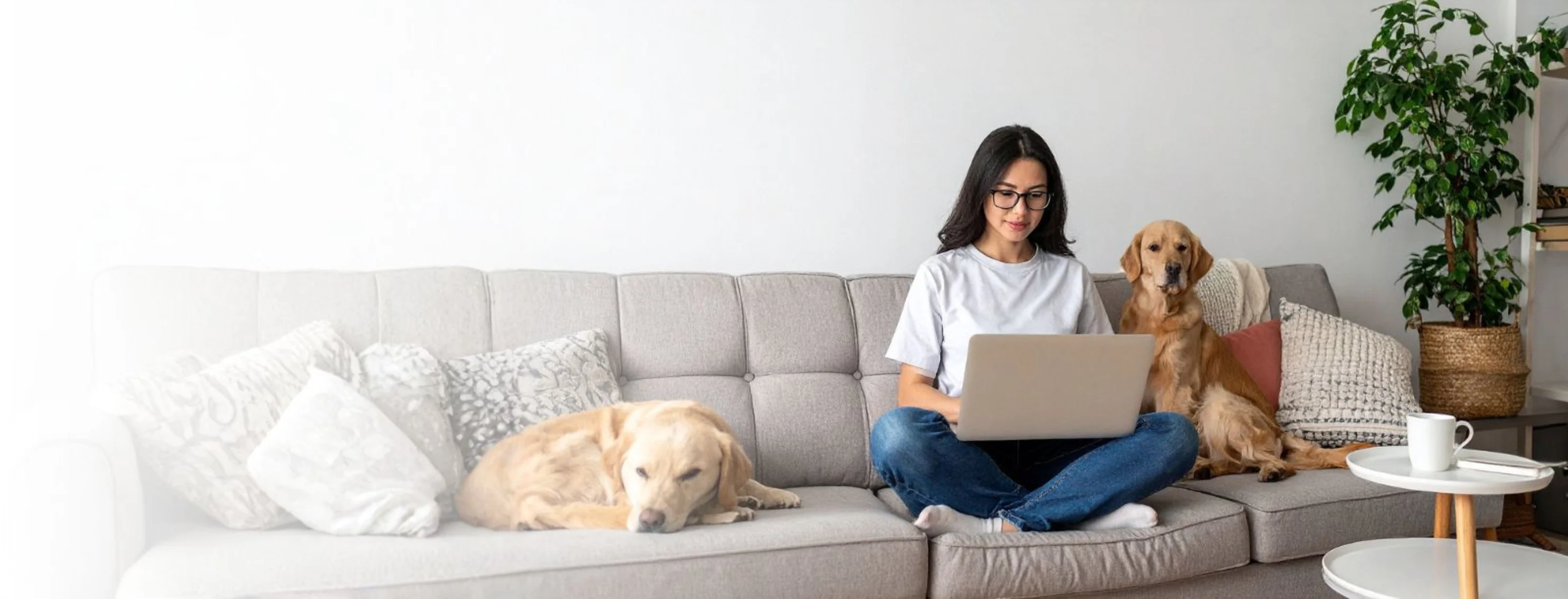Girl Sitting with Two Dogs & Her Laptop Girl Sitting with Two Dogs & Her Laptop