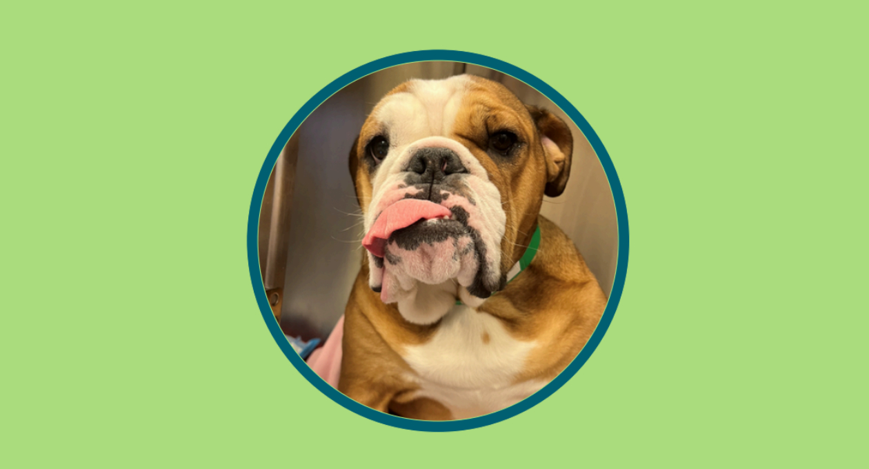 Gastrointestinal Foreign Body Diagnosis & Removal