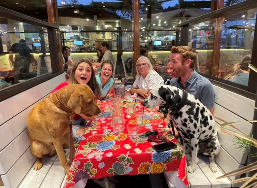 Bayhill Equine Team Outing Photo with Two Dogs