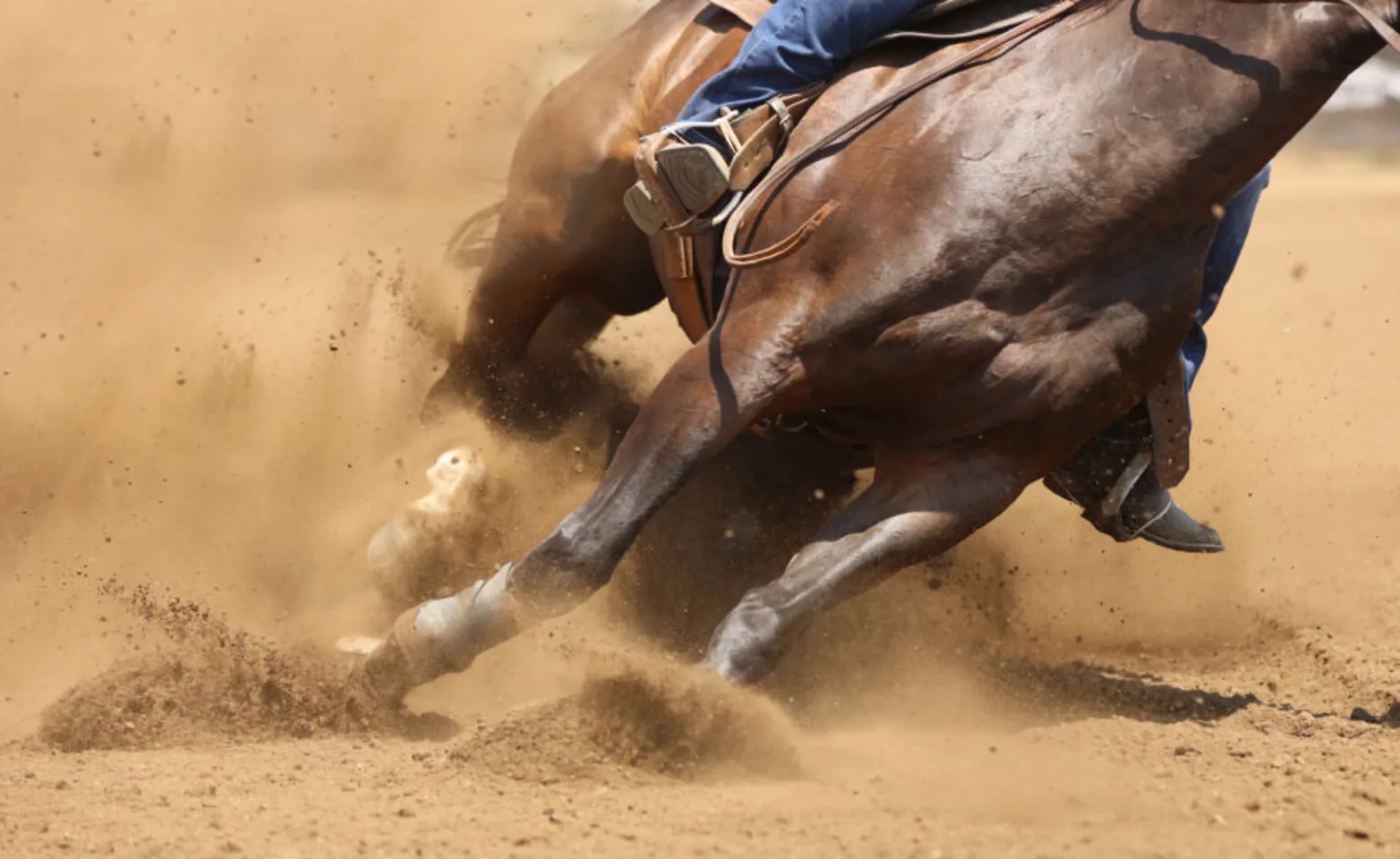 Horse running at an angle through soft dirt of arena