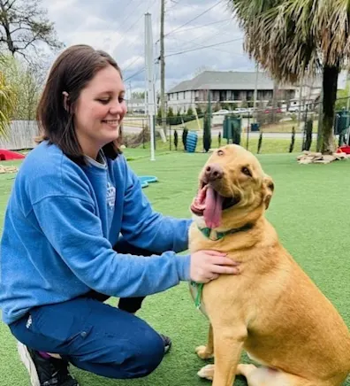 Amberlee smiling and holding a white and orange cat Amberlee smiling and holding a white and orange cat