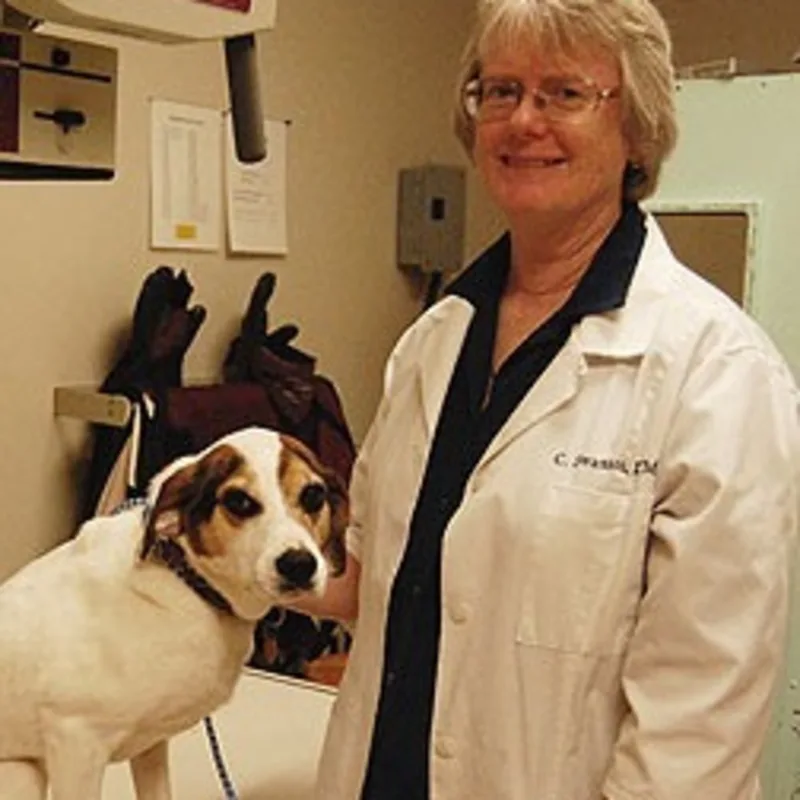 Dr. Christina Swanson WITH A DOG Dr. Christina Swanson WITH A DOG
