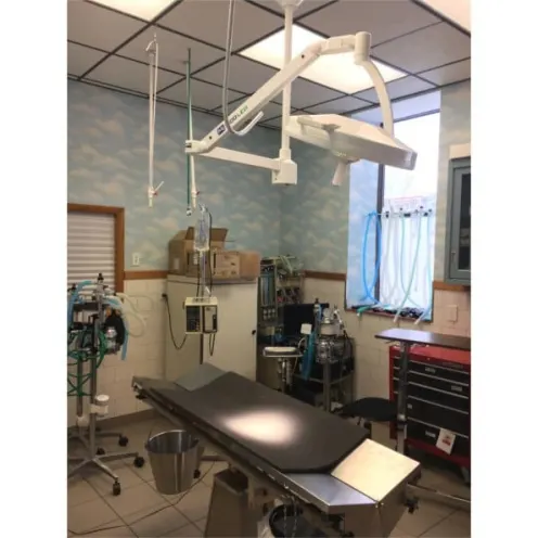 Surgery suite at Buffalo Small Animal Hospital