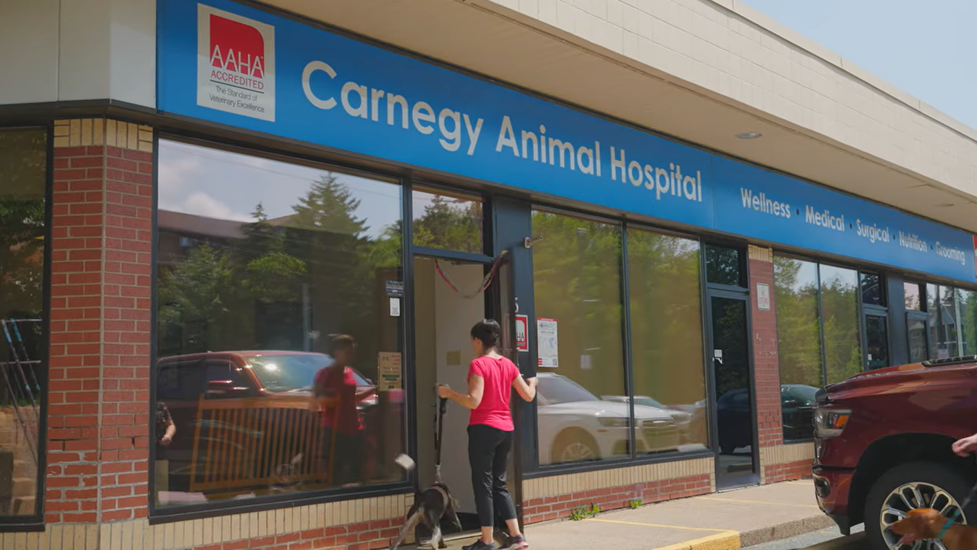 Woman and her dog walking into Carnegy Animal Hospital