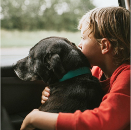 A boy hugging a dog looking out the window