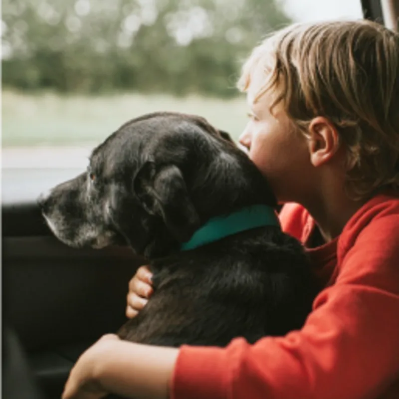 A boy hugging a dog looking out the window A boy hugging a dog looking out the window