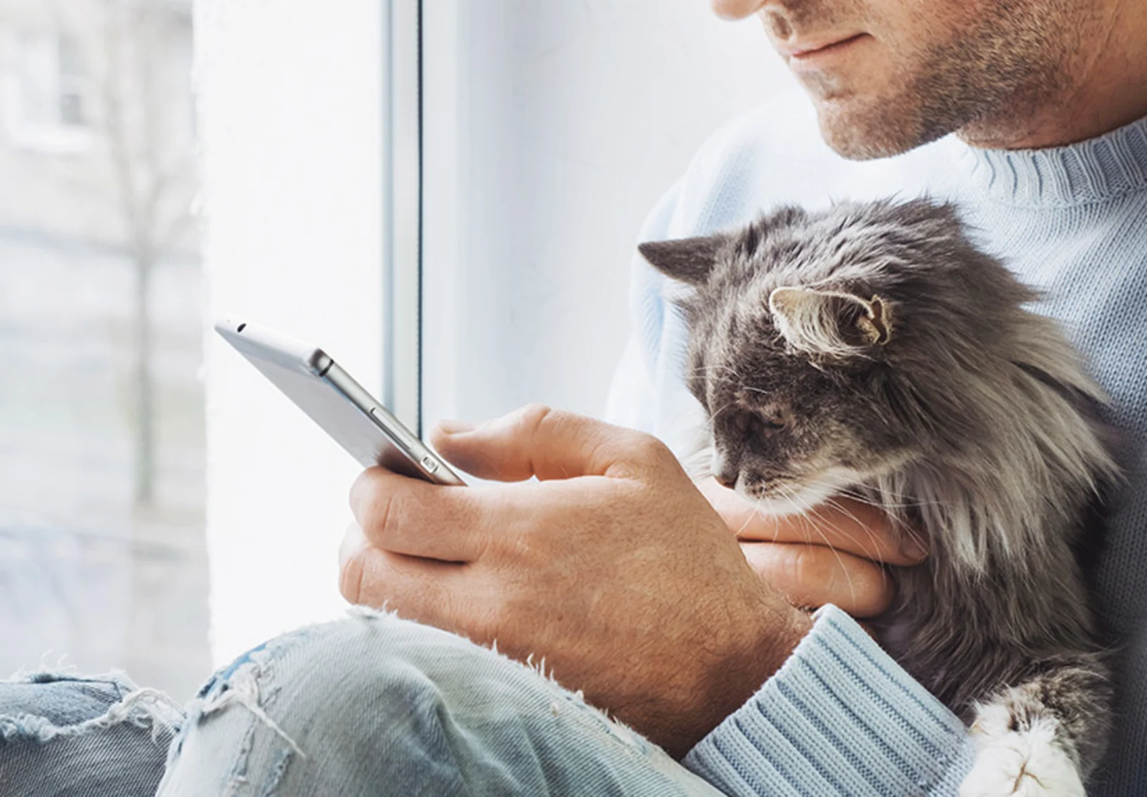 Man using his cell phone sitting next to a window holding a cat in his lap