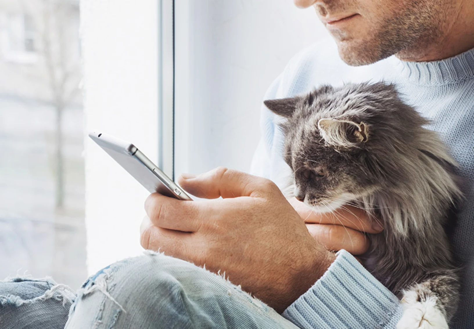 Man using his cell phone sitting next to a window holding a cat in his lap Man using his cell phone sitting next to a window holding a cat in his lap