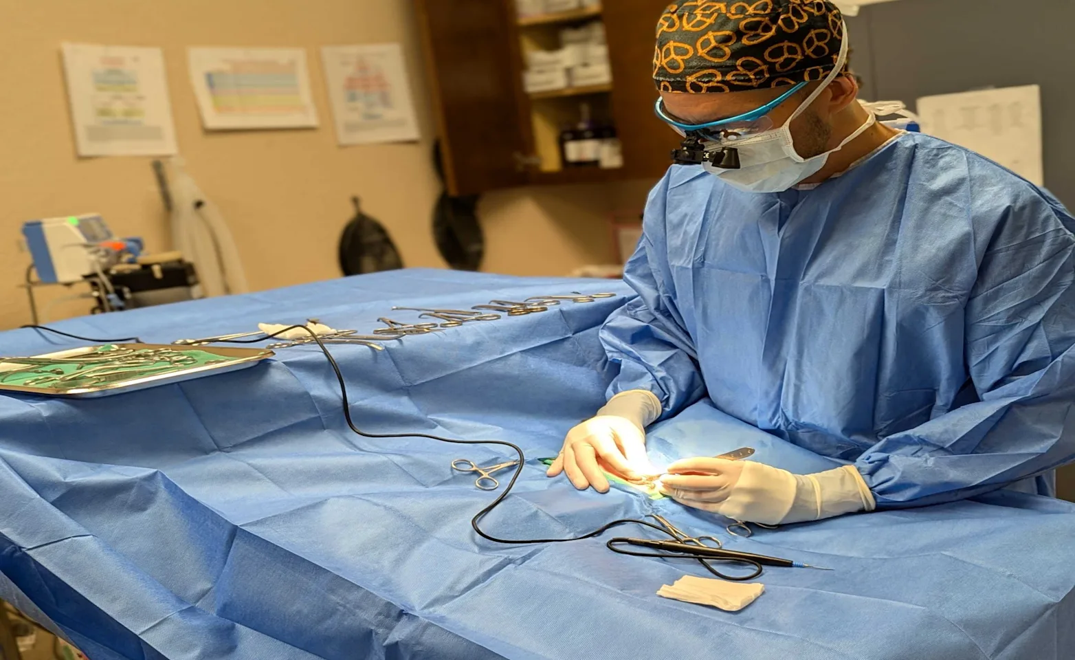 Soft Tissue Surgery Soft Tissue Surgery