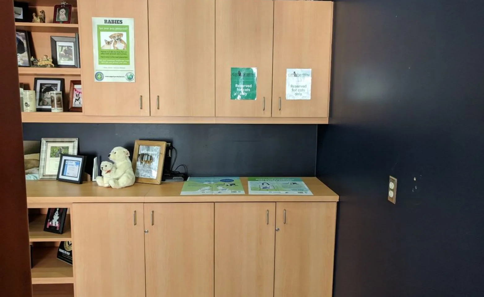 Cat-only waiting room at Abbotsford Animal Hospital