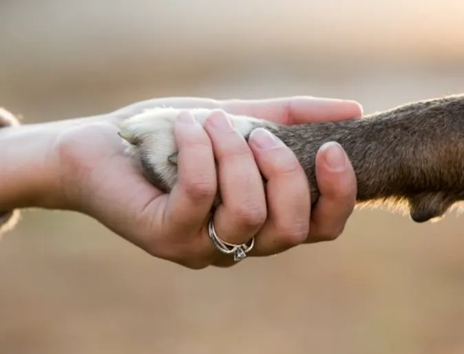 Woman Holding onto a Dog's Paw