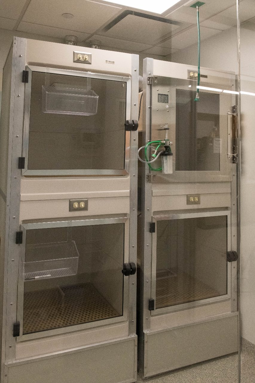 Isolation space in West Village Veterinary Hospital.